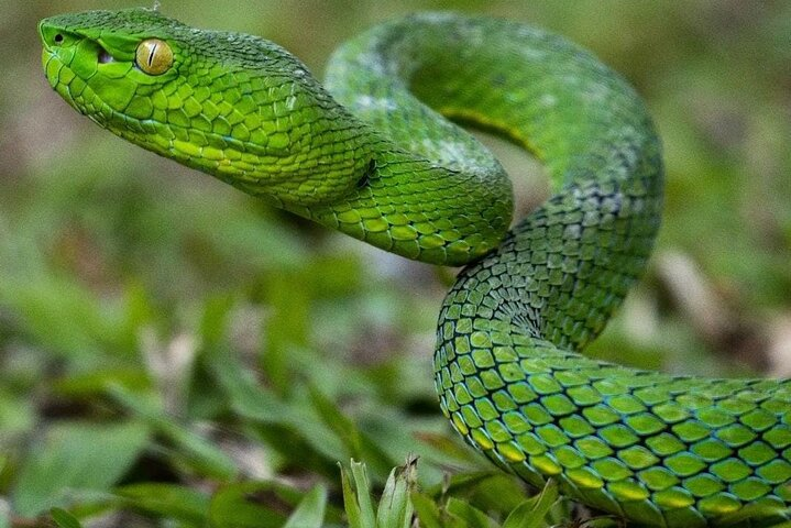 Private Hike through the Wildlife Refuge - Photo 1 of 5